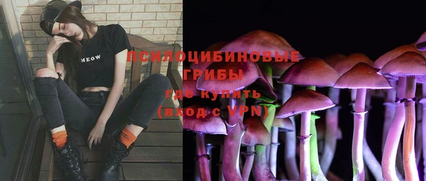 спайс Балабаново