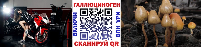 Галлюциногенные грибы GOLDEN TEACHER  где купить наркоту  Ульяновск 